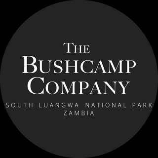 Bush Camp Company